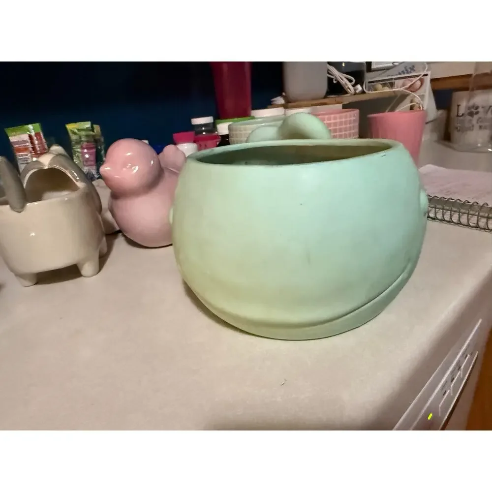 Smiling whale flower pot